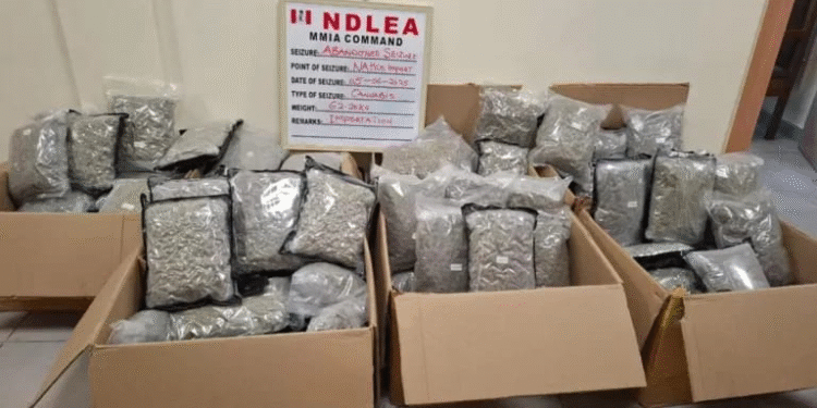 NDLEA Intercepts Illicit Drug Consignment Packaged as Green Tea at Lagos Airport