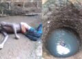 Tragic Incident: Substance Abuse Leads Man to Plunge into Well