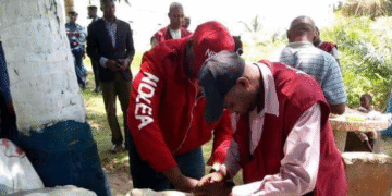 NDLEA Destroys 30-hectare Cannabis Farm in Cross River, Nabs Suspects