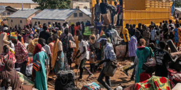 UNHCR Reveals Record Numbers of Displaced Individuals Amidst Ongoing Conflicts