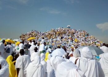 Saudi Arabia to Translate Arafah Sermon into Hausa, Yoruba, Fulani, and 34 Additional Languages