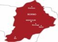 9 feared killed in Borno bomb attack