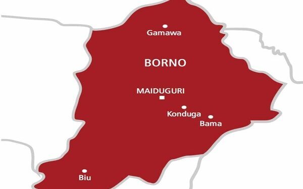 9 feared killed in Borno bomb attack
