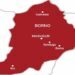 9 feared killed in Borno bomb attack
