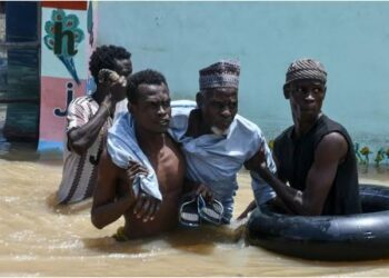 NEF urges FG to aid Niger flood victims