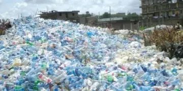 APM Terminals Apapa, GIVO Launch Recycling Hub to Tackle Plastic Waste