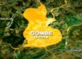 Hit-and-Run Driver Kills Policeman in Gombe