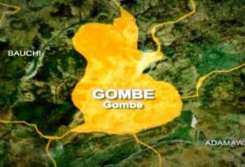 Hit-and-Run Driver Kills Policeman in Gombe