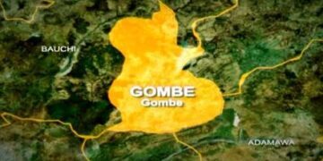 Hit-and-Run Driver Kills Policeman in Gombe