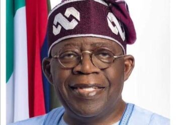 Plantain chips: Stop Sensational, Negative and False Publication Against Door-2-Door Campaign for President Tinubu; Adekanbi Charges Sahara Reporters