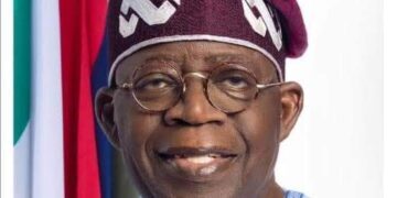 Plantain chips: Stop Sensational, Negative and False Publication Against Door-2-Door Campaign for President Tinubu; Adekanbi Charges Sahara Reporters