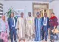 Tinubu’s Agenda: NAIC Boss Backs Livestock Development