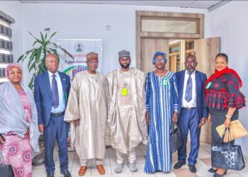 Tinubu’s Agenda: NAIC Boss Backs Livestock Development