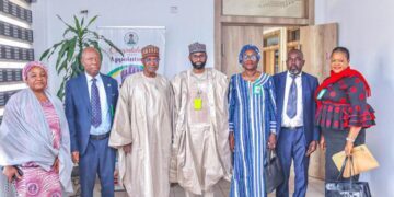 Tinubu’s Agenda: NAIC Boss Backs Livestock Development