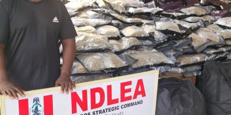 NDLEA Arrests Drug Kingpin ‘Warri kinsman’ Over Drug Shipment