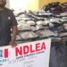 NDLEA Arrests Drug Kingpin ‘Warri kinsman’ Over Drug Shipment