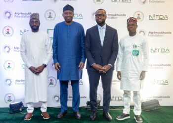 Digitisation: Aig-Imoukhuede harps on standardisation