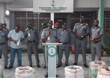 420kg of Pangolin Scales Seized in Kano – Customs