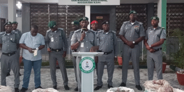 420kg of Pangolin Scales Seized in Kano – Customs