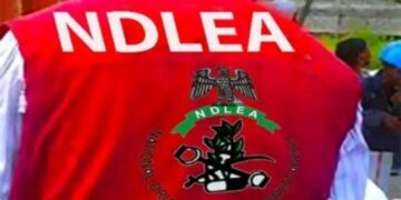 NDLEA Arrests 225 Suspects, Seizes 654.4kg Drugs in Osun