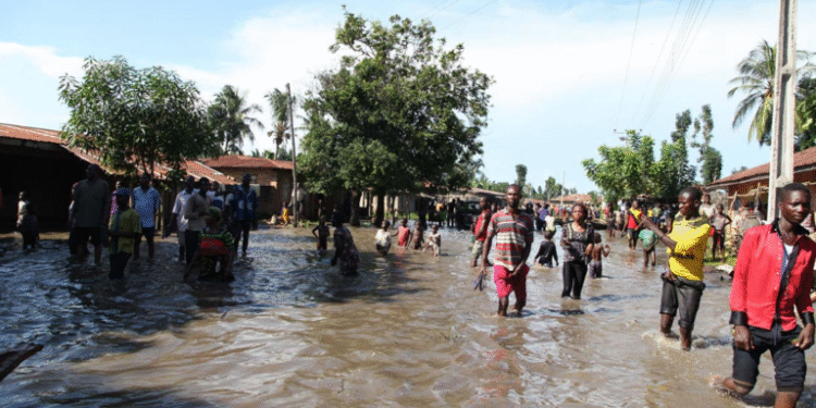 Kaduna, Kano, Katsina Rush To Prevent Flood Disasters
