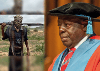 Afe Babalola Blames Nigeria’s Worsening Crime Rate On Poor Education