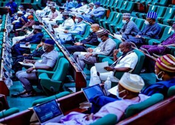 Reps Begin Probe of N1.06 Trillion Social Intervention Programme