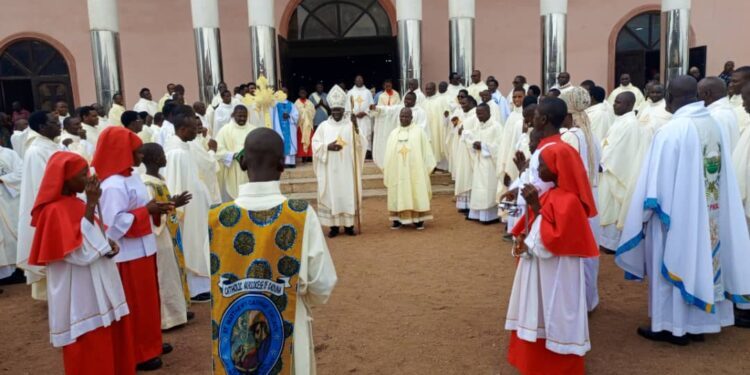 Food Security: Catholic Bishop Sues for Fertilizer Subsidy as Kaduna Priests Celebrate Feast Day