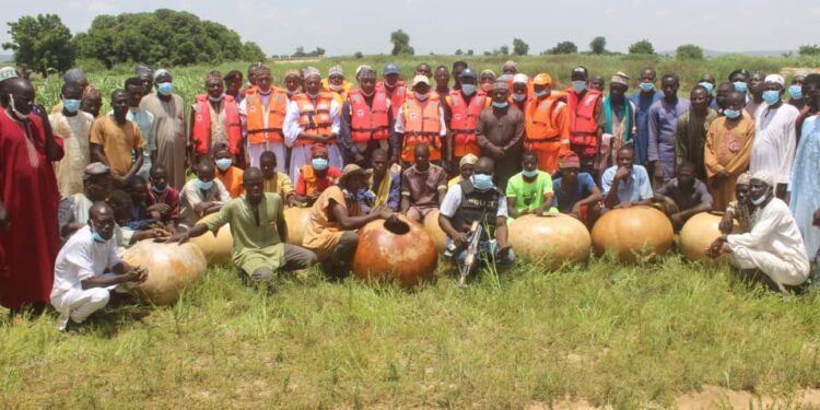 Sokoto Boat Mishap: 41 Rescued, 4 Dead