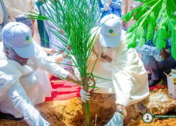 Desertification: Sokoto Governor  Flags Off 2025 Tree Planting Campaign
