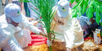 Desertification: Sokoto Governor  Flags Off 2025 Tree Planting Campaign