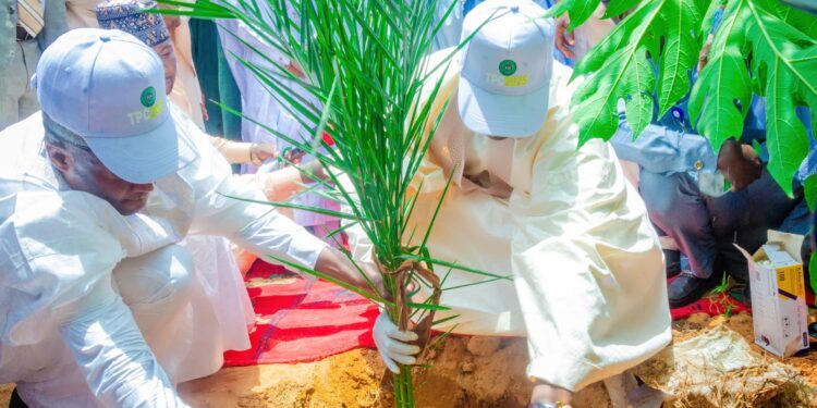 Desertification: Sokoto Governor  Flags Off 2025 Tree Planting Campaign