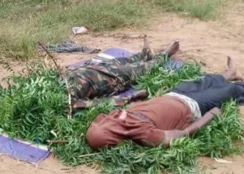 2 Soldiers Killed in Violent Farmers-Herders Clash in Taraba State