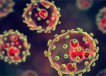 Lassa Fever Cases Decreasing; Fatality Rate High, Says NCDC