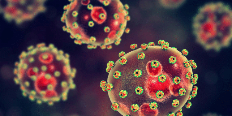 Lassa Fever Cases Decreasing; Fatality Rate High, Says NCDC