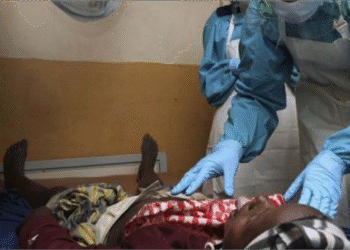 NCDC Reports Decline in Lassa Fever Cases Amid Rising Fatality Rates