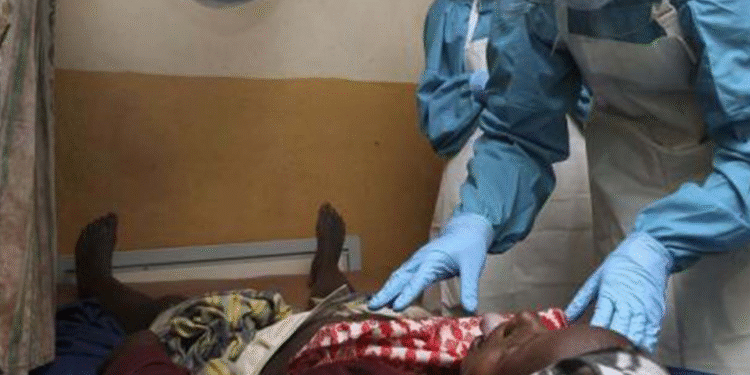 NCDC Reports Decline in Lassa Fever Cases Amid Rising Fatality Rates