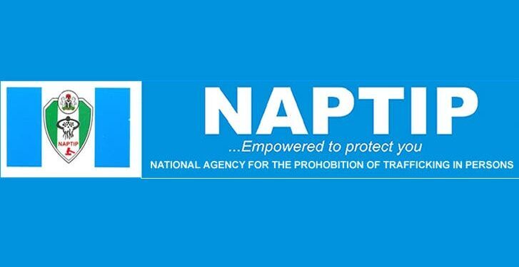 Benue Has Highest Number of Human Trafficking Cases – NAPTIP