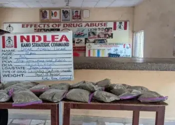 NDLEA Arrests 27-year-old With N10m Worth of Cannabis in Kano