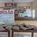 NDLEA Arrests 27-year-old With N10m Worth of Cannabis in Kano