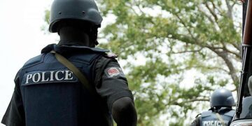 Man Dies During Cult Initiation in Edo