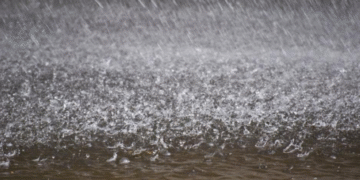 Latest Weather Alert: NiMet Forecasts Thunderstorms, Rain