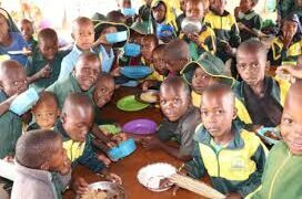 ActionAid wants school feeding programme institutionalized