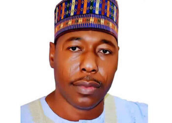 Duhu Dismisses Sowore’s Claims Against Gov. Zulum