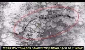 NAF Airstrikes Eliminate 35 Terrorists at Nigeria-Cameroon Border