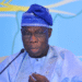 Obasanjo Advocates Health Fund for Africa, Adoption of Traditional Medicine