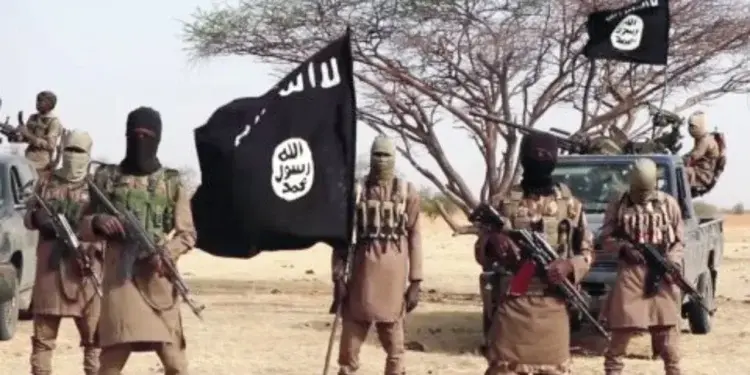 2 Boko Haram Commanders, 11 Others Neutralized in Foiled Attack in Borno