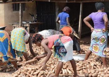 FG to Disburse Interest-free Loans to Small Businesses, Farmers Nationwide