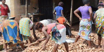 FG to Disburse Interest-free Loans to Small Businesses, Farmers Nationwide