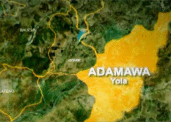 Adamawa Suspect Arrested in Connection with Child Murder